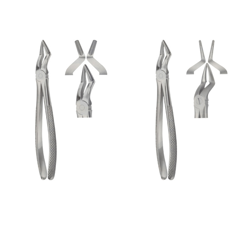 Tooth Extracting Forceps